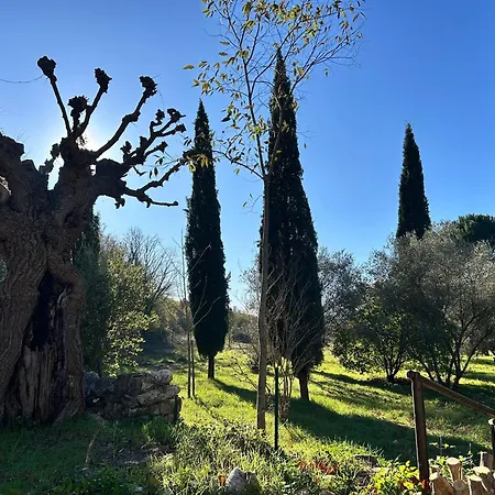 펜션 La Magnanerie Des Cevennes 8-10 People *