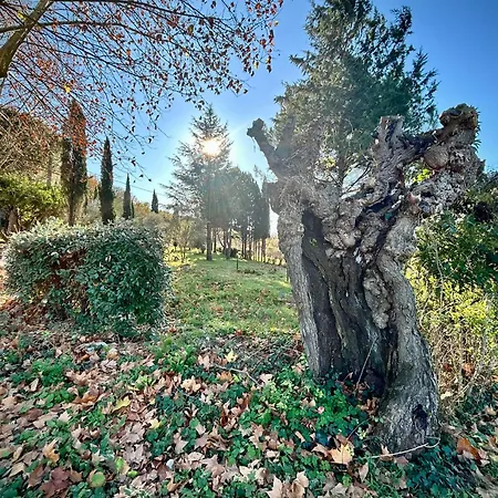 Prázdninový dům La Magnanerie Des Cevennes 8-10 People Saint-Bauzille-de-Putois