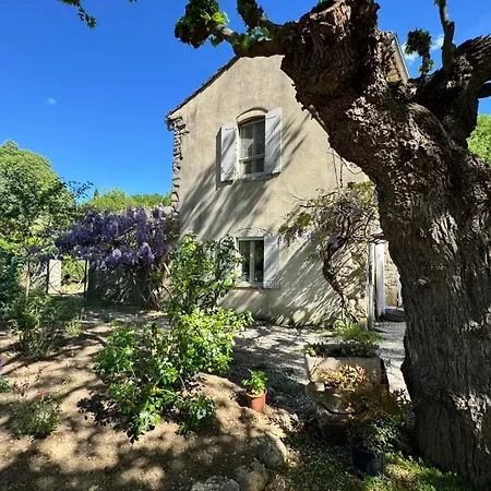 La Magnanerie Des Cevennes 8-10 People Semesterbostad Saint-Bauzille-de-Putois